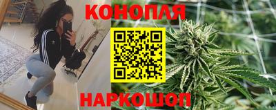 мяу мяу мука Канаш