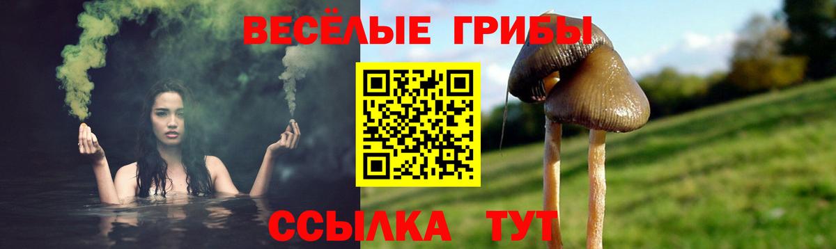 Галлюциногенные грибы мицелий Кызыл