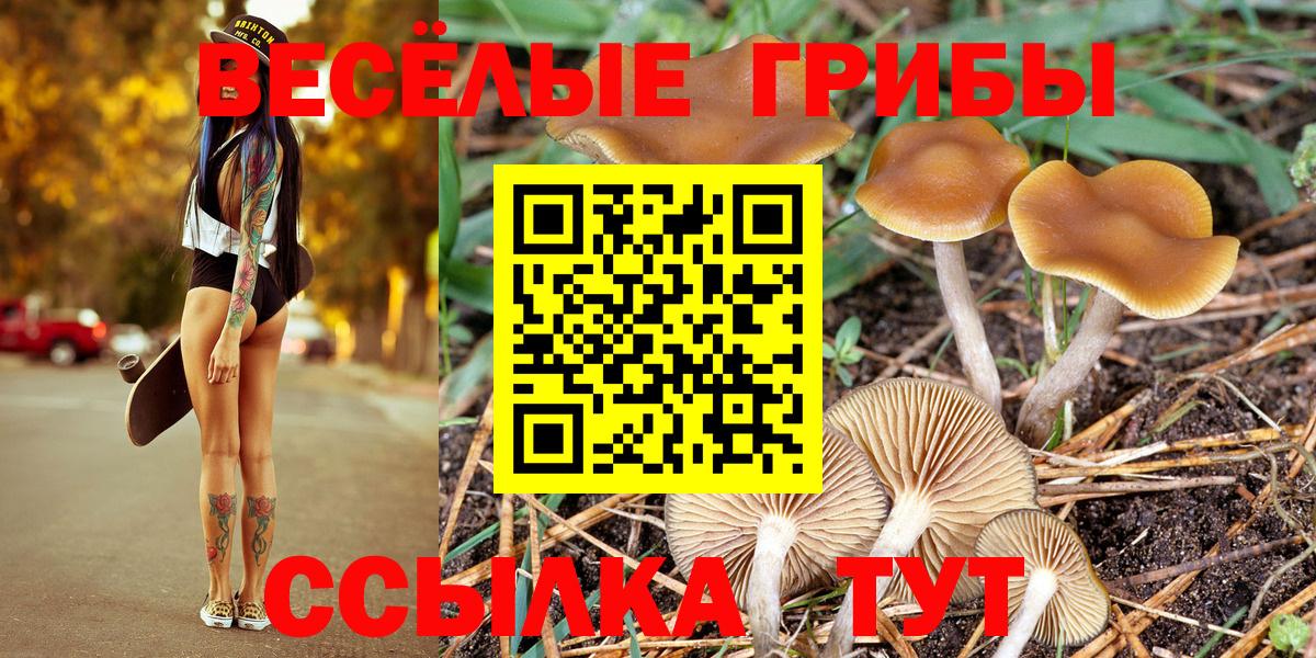 Псилоцибиновые грибы GOLDEN TEACHER  Вход с VPN  Кызыл 